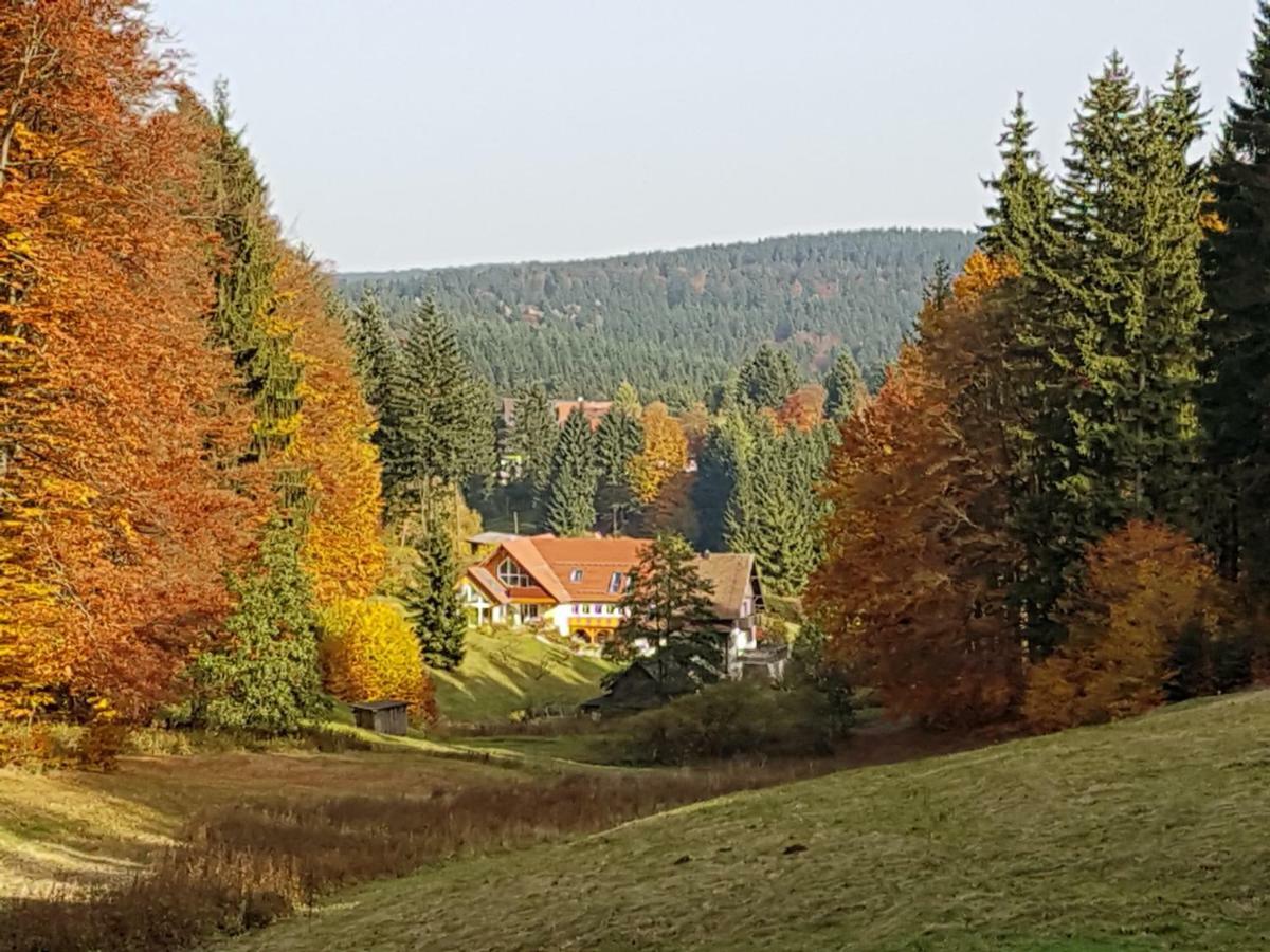 Ferienhaus am Rennsteig Schmiedefeld am Rennsteig Exterior foto